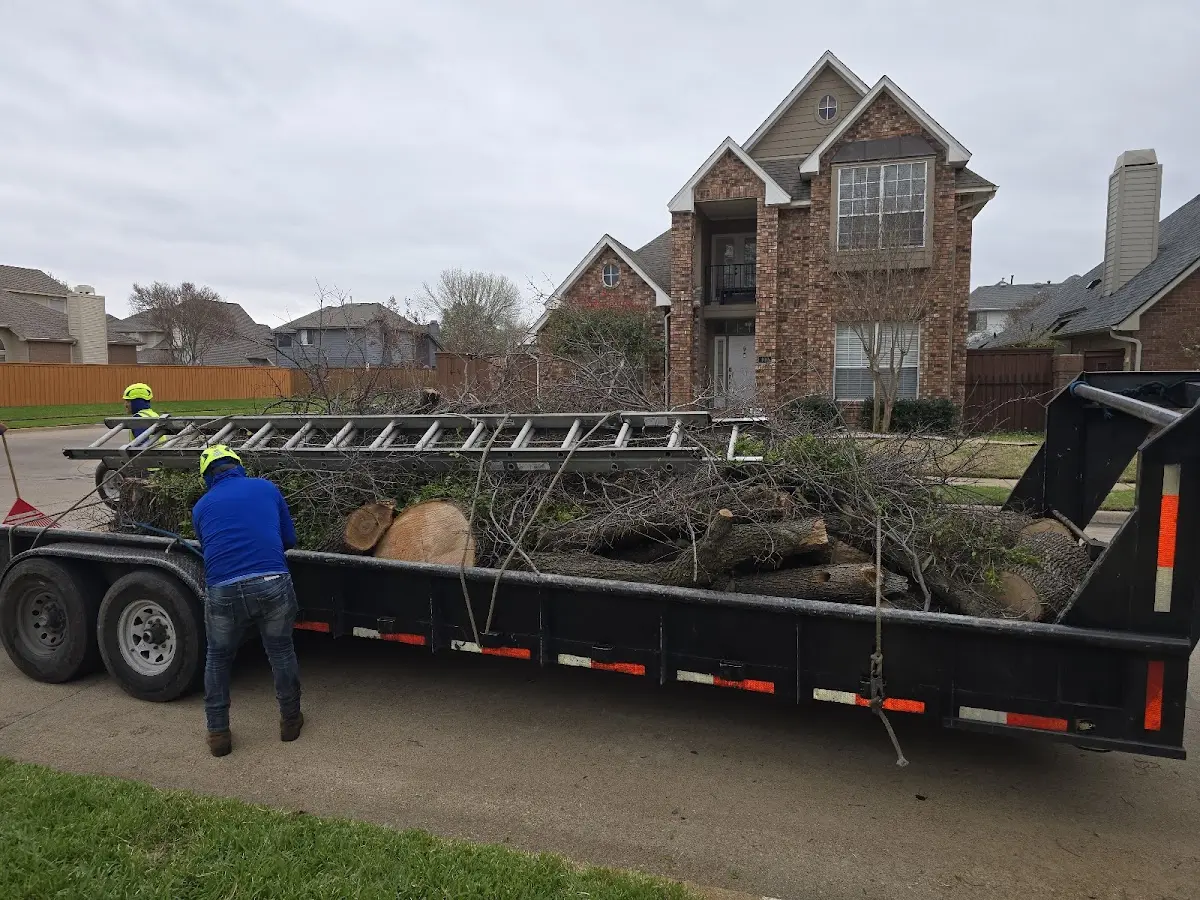 Expert Tree Removal with proper safety equipment in Salesville
